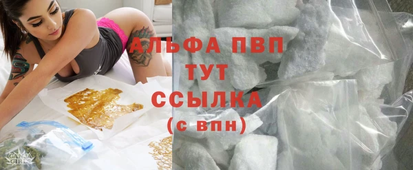 мяу мяу мука Баксан