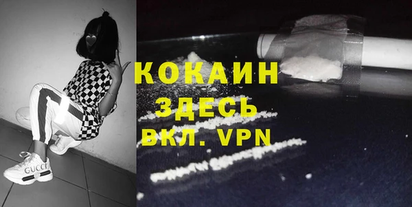 дмт Арсеньев