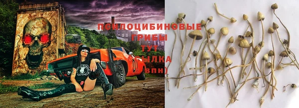 ALPHA-PVP Армянск