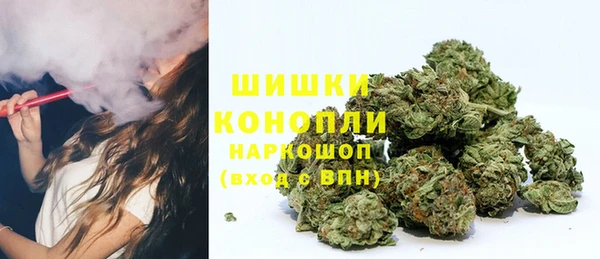 дмт Арсеньев